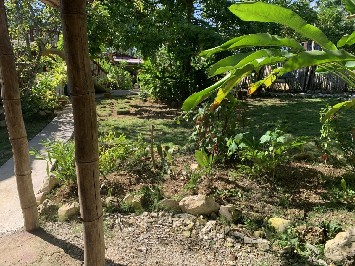 Can Jam Retreat Negril Exterior foto