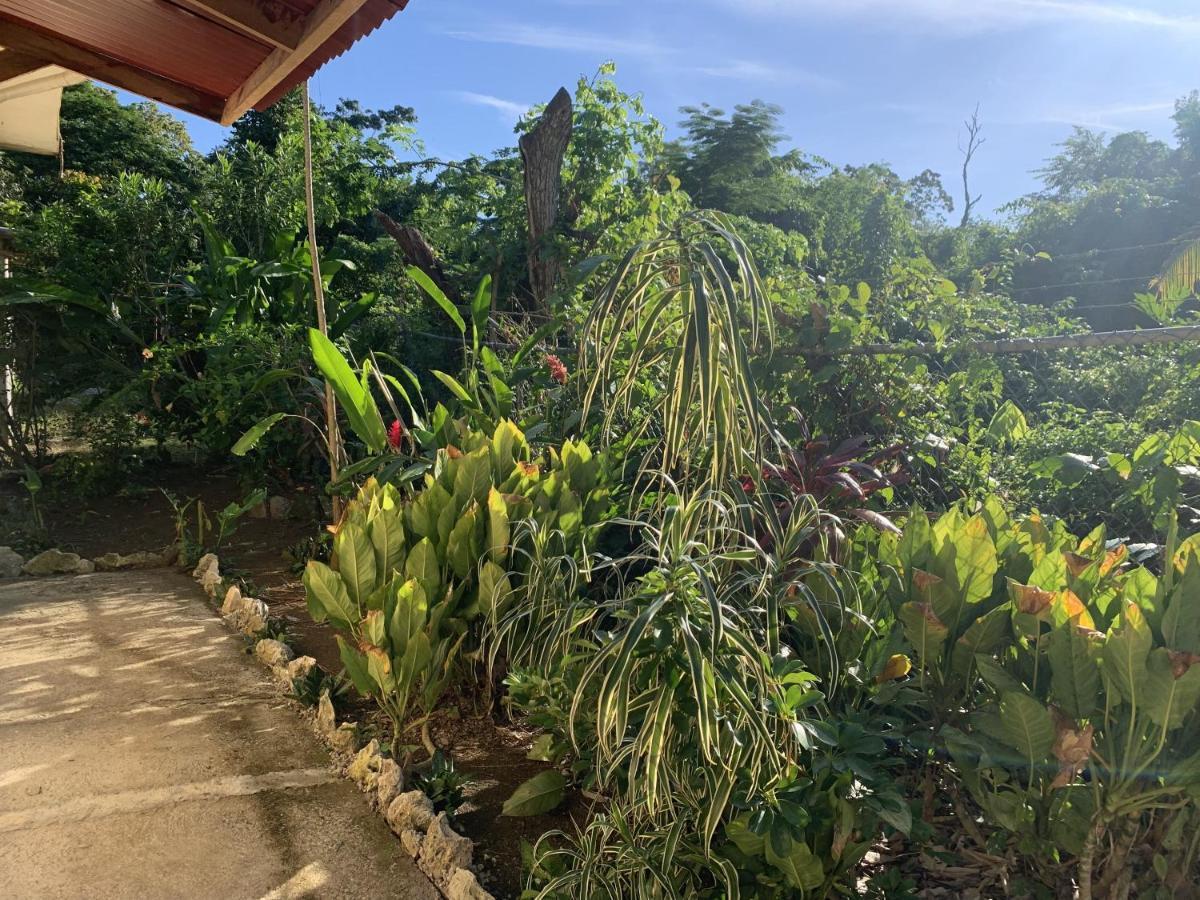 Can Jam Retreat Negril Exterior foto