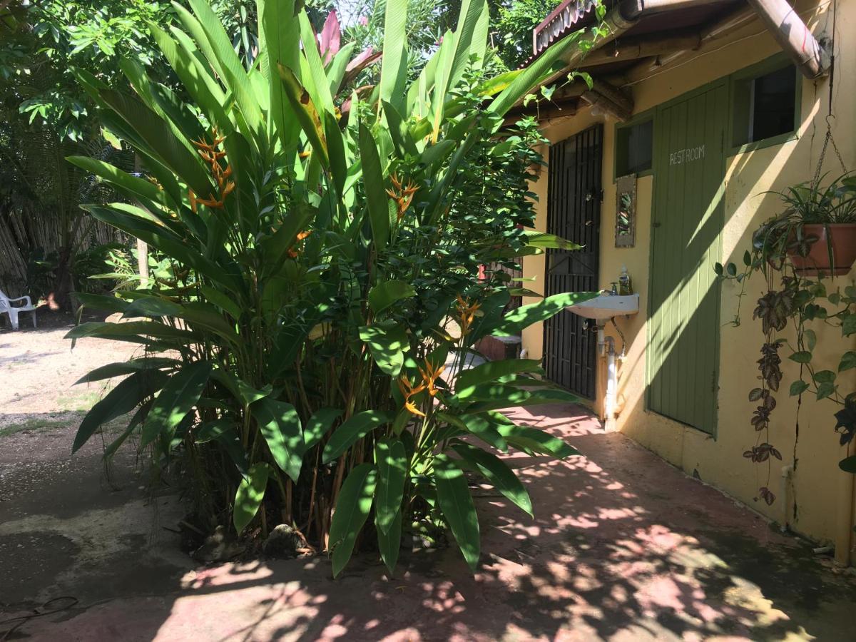 Can Jam Retreat Negril Exterior foto